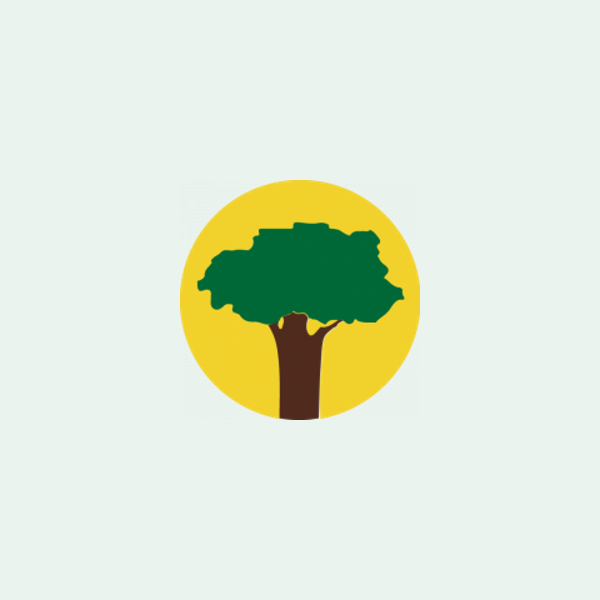 [0101011004] Caoba Corta - AD 3' - 4' - 5' en 1''